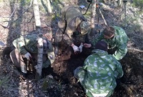 Итоги весенних экспедиций 2015 г.